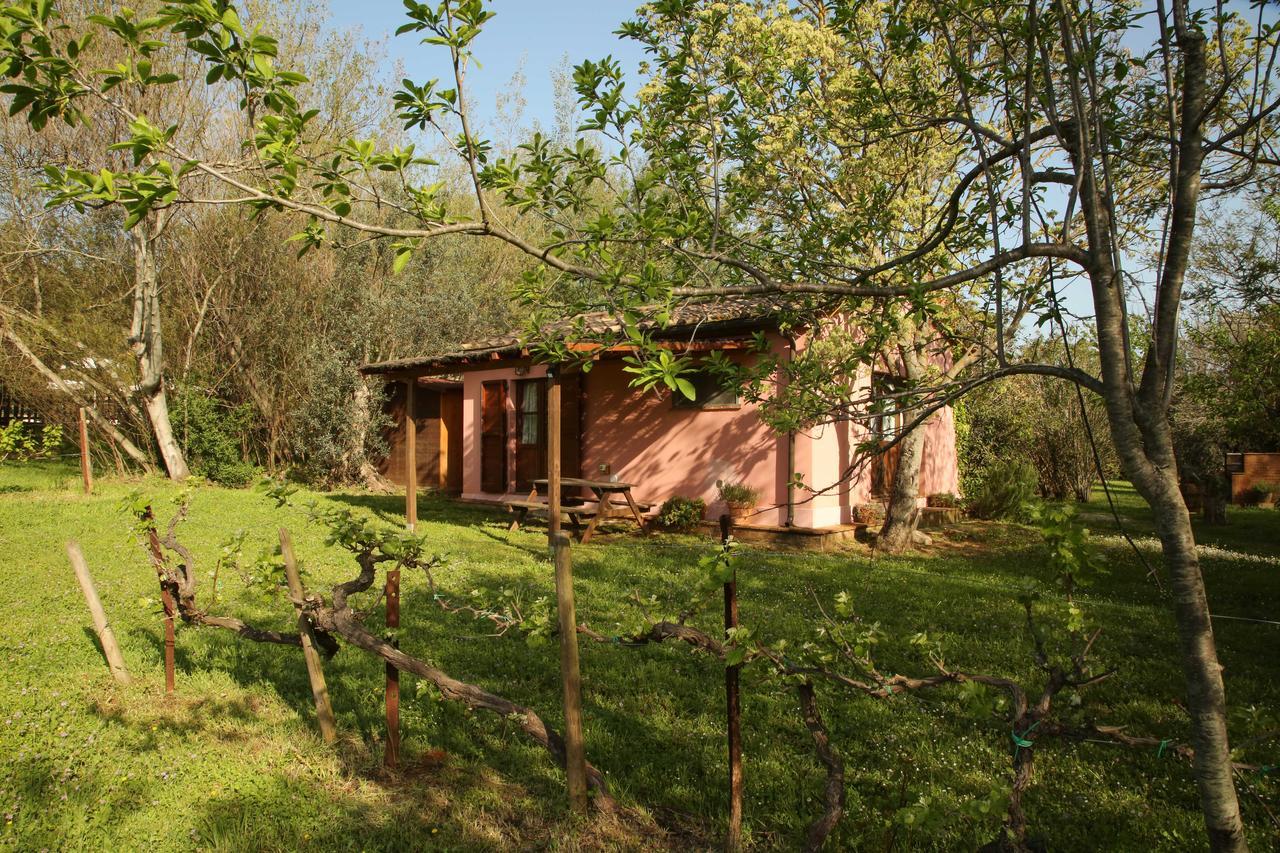 Affittacamere Casale Vigna Carbona Gavorrano Esterno foto