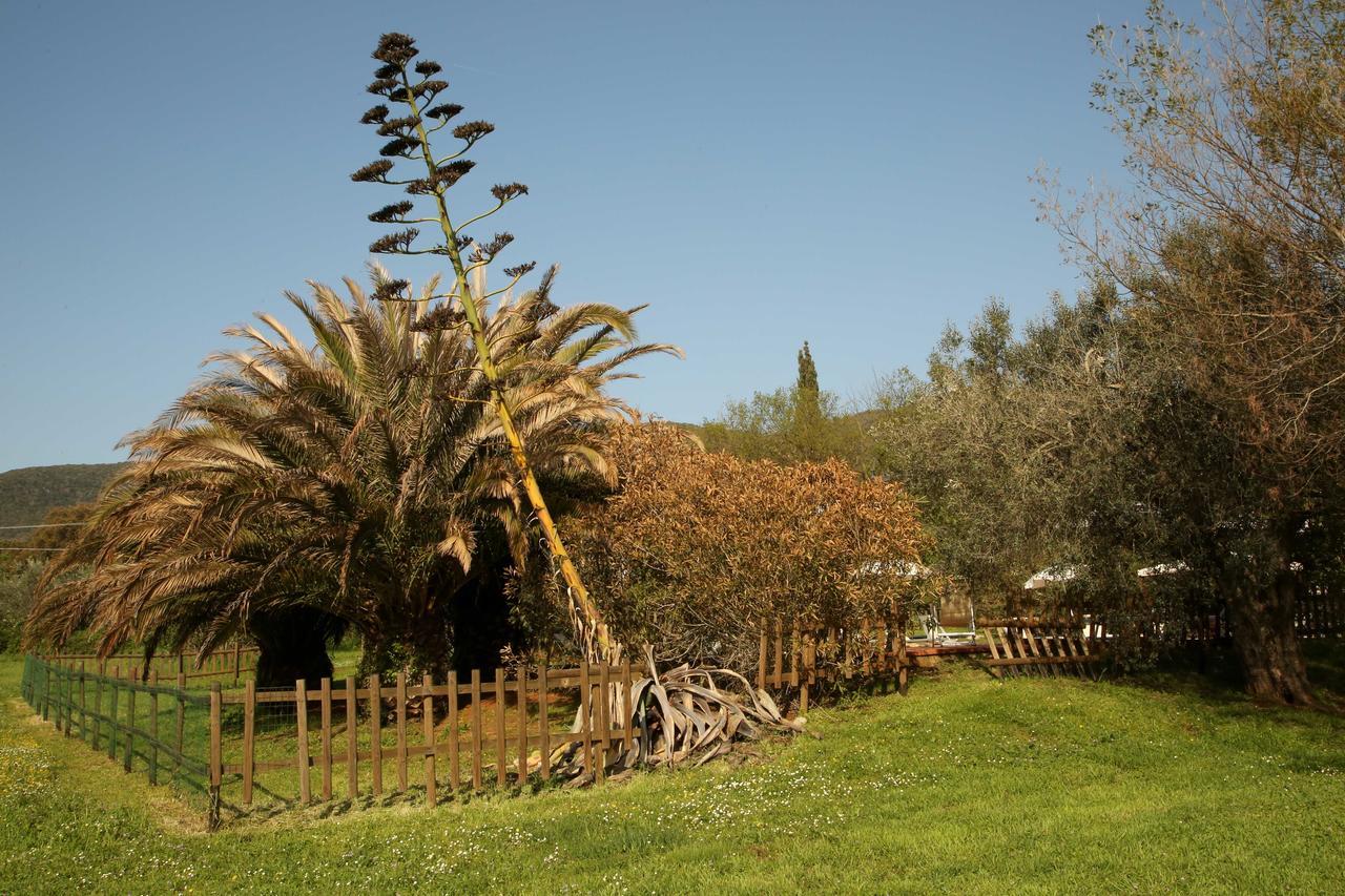 Affittacamere Casale Vigna Carbona Gavorrano Esterno foto